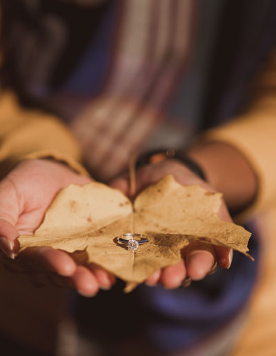 Toronto Engagement Photography Service